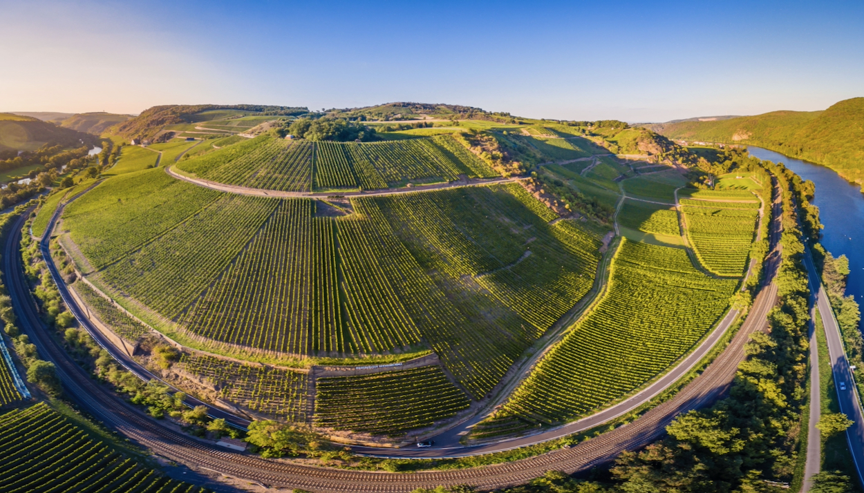 Jakob Schneider Niederhäuser Hermannshöhle Riesling trocken 2020 Nahe