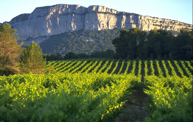 Some Of The Best Languedoc Reds Jancis Robinson