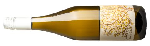 Giornata Il Campo Bianco bottle shot