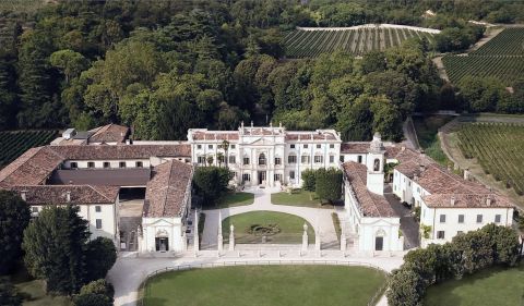 A large, white Italian mansion with forest and vineyards behind