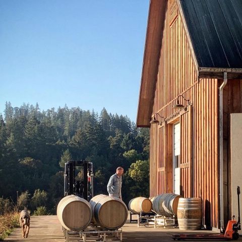 Big Table Farm - barrels and dog