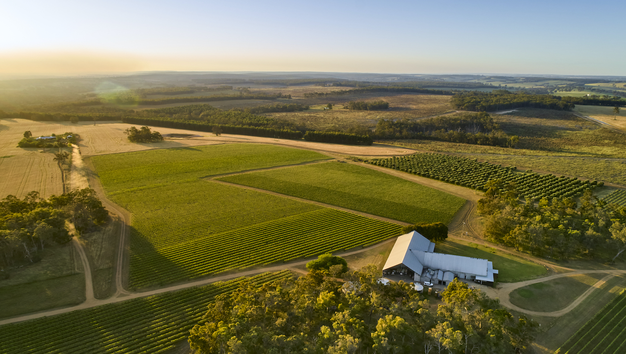 Frankland Estate Riesling 2019 and Shiraz 2017 Frankland River ...