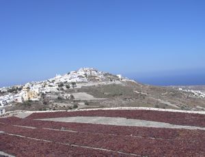 Santorini_drying_grapes