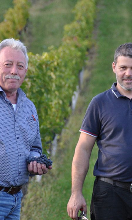 Fredi and Mathias Jalits of Weingut Jalits in the Szapary vineyard in Eisenberg, Austria