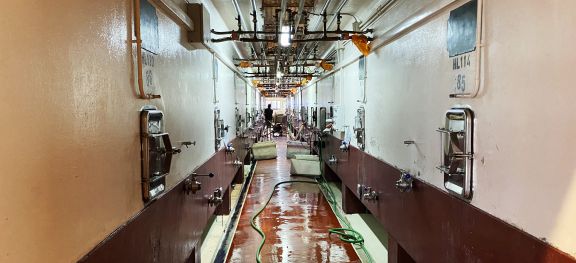 concrete fermentation tanks in Argentina