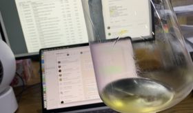 Tasting wine in front of a computer screen