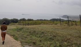 Credit: Kennedy Lieberman. Walking towards Lake Bolsena at the last stop of the day, Andrea Occhipinti’s vineyard.