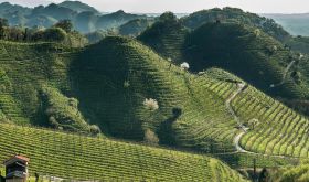 Conegliano Valdobbiadene DOCG landscape