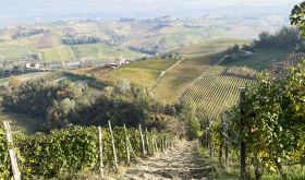 view from Monforte to Serralunga