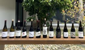 bottle line-up of top-rated Ribeira Sacra wines