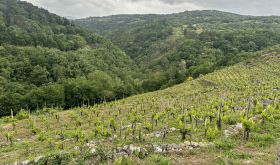 Cabe River valley in Ribeira Sacra