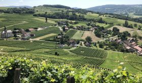 Savoie vinescape