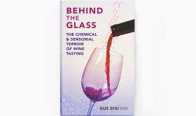 Behind The Glass by Gus Zhu book cover