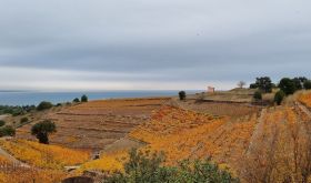 La Tour Vieille - view from the office