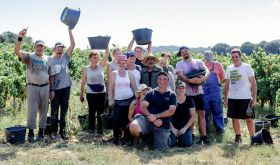 Clos du Caillou harvest team