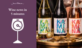 Kamina low-alcohol wines from South Africa and Wines News in 5 logo