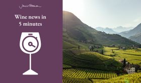 Sudtirol vineyard landscape by Benjamin Pfitscher and  jr-wine-news in 5 logo