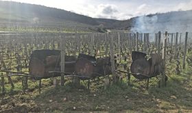 Pruning braziers in the Musigny vineyard