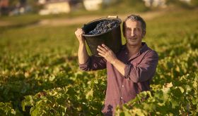 Bernard Bouvier © Domaine René Bouvier