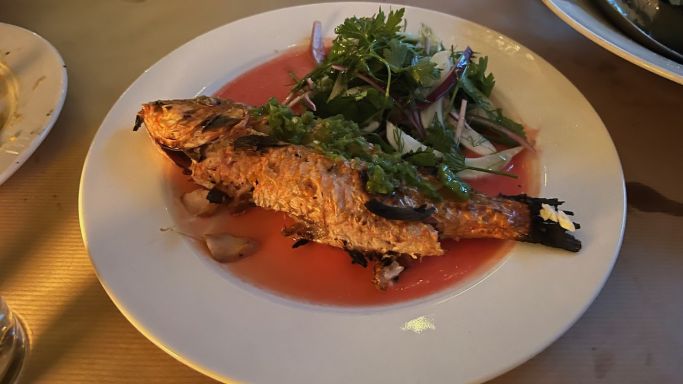 Lilienblum's red mullet