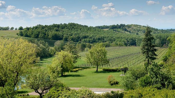 La Raia's vineyards in Gavi, Italy