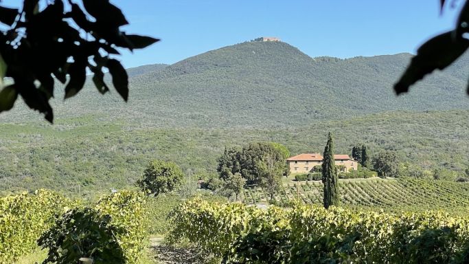 View from Poggio Lamentano over Grattamacco to Castiglioncello di Bolgheri