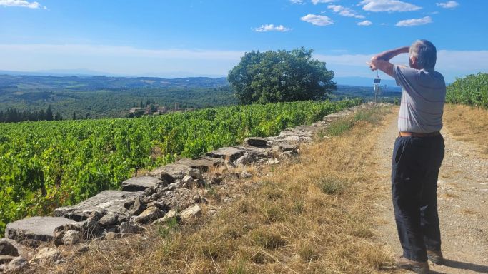 Paolo De Marchi casts an expert eye over the Isole e Olena vineyards.  photo is author's own