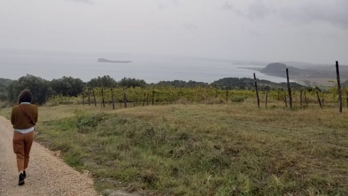 Credit: Kennedy Lieberman. Walking towards Lake Bolsena at the last stop of the day, Andrea Occhipinti’s vineyard.