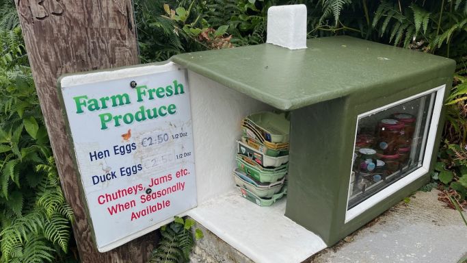 Fastnet egg stand