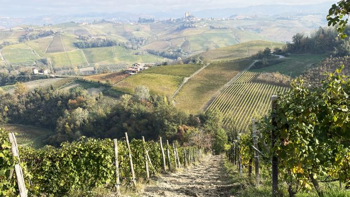 view from Monforte to Serralunga