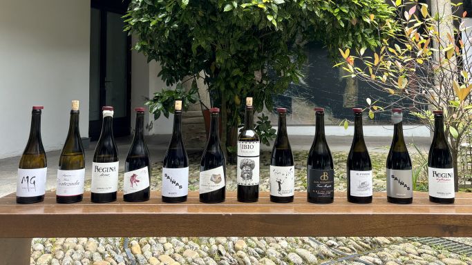 bottle line-up of top-rated Ribeira Sacra wines