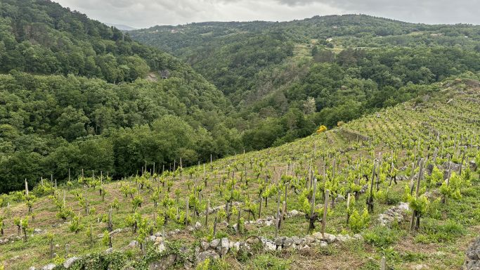 Cabe River valley in Ribeira Sacra