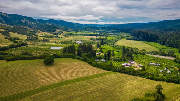 Anderson Valley vineyards by Fabian Jauregui