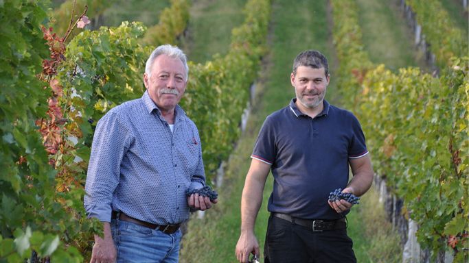 Fredi and Mathias Jalits of Weingut Jalits in the Szapary vineyard in Eisenberg, Austria