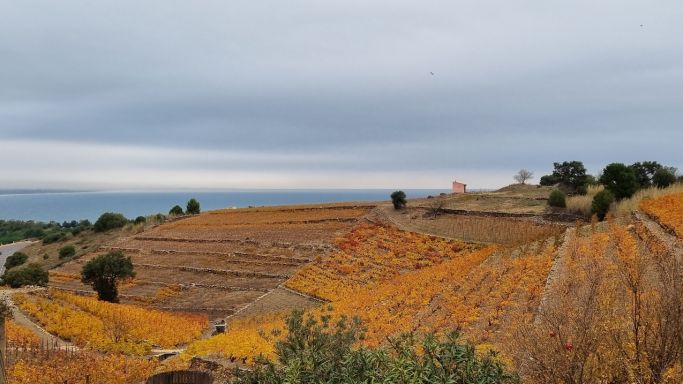 La Tour Vieille - view from the office