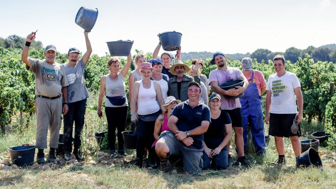 Clos du Caillou harvest team