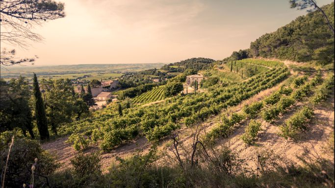 Gigondas - Domaine Santa Duc