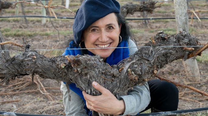 Dr Laura Catena Hugging a Vine