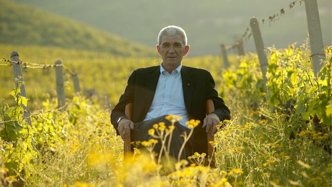 Yiannis Boutaris in vineyard