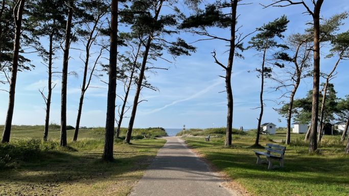 Beach south Skåne