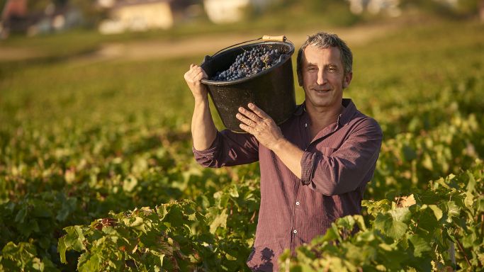 Bernard Bouvier © Domaine René Bouvier