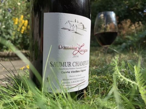 A bottle of Lavigne Saumur-Champigny in a garden