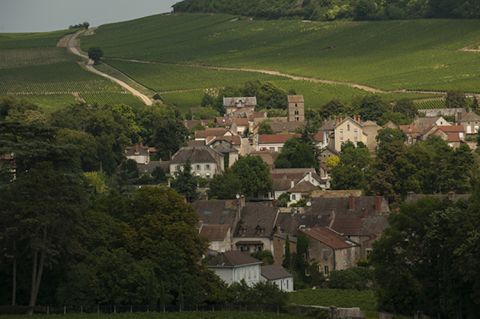 The village of Mercurey in the Cote Chalonnaise