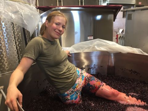 Samantha Cole-Johnson treads grapes (pigeage) in an Oregon winery in 2019