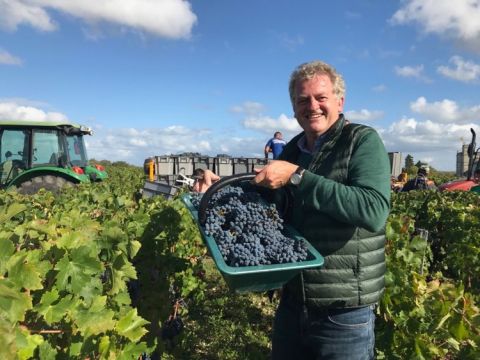 Quinney making off with some Cabernet Sauvignon in Saint Julien