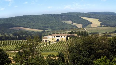Aerial view of Domaine Gayda