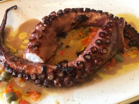 Octopus at The Melusine restaurant in London