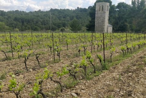 Ch St Jacques d'Albas April 2020