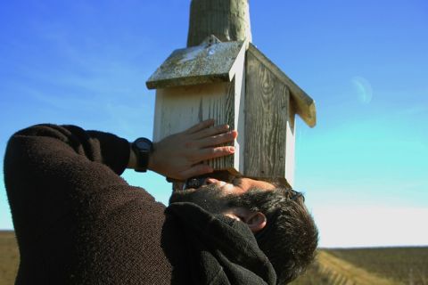 Bat boxes set up as part of pest control in the Esporão vineyards 