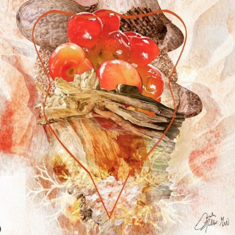 Sarah Heller MW's visual tasting notes